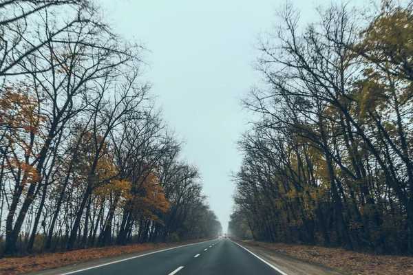 Herfst auto reizen concept bomen met gele bladeren — Stockfoto