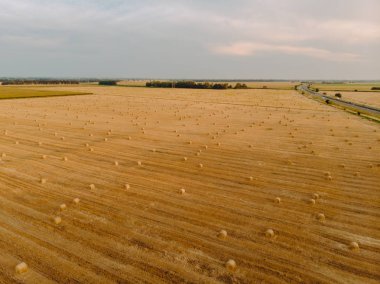 Hava manzaralı günbatımı tarlası sonbahar hasat zamanı