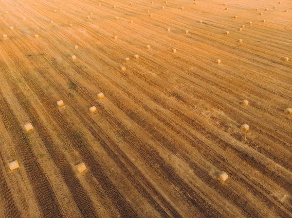Vista aérea pôr do sol campo colheita outono tempo — Fotografia de Stock
