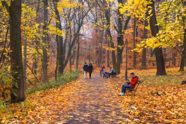Lviv, Ukrayna - 4 Kasım 2018: Sonbahar parkında insan faaliyetleri