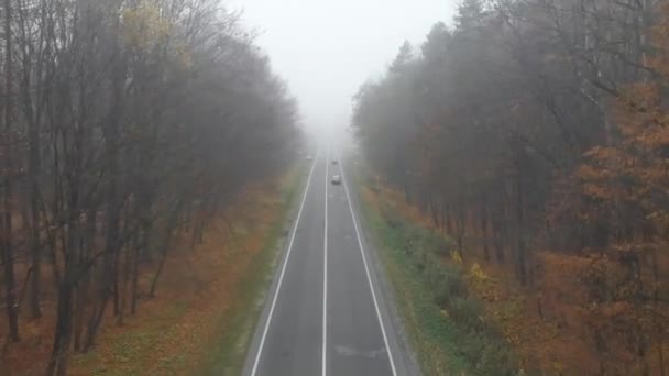 秋天有雾的高速公路俯瞰秋天的汽车旅行 — 图库视频影像