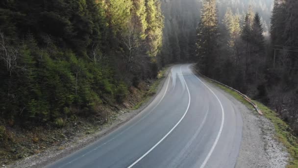 Oben Ansicht Weiß Geländewagen Fahren Durch Berge Straße Tannen Wald — Stockvideo