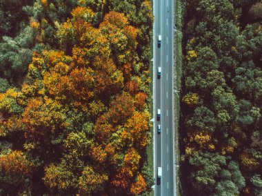 Ormandaki sonbahar otoyolunun havadan görünüşü