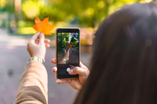 Mujer tomando foto de hoja de arce amarillo —  Fotos de Stock