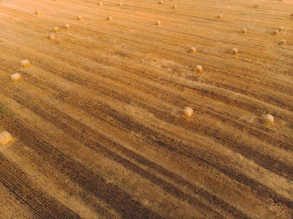 Luftaufnahme Sonnenuntergang Feld Ernte Herbst Zeit — Stockfoto