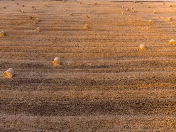 Luftaufnahme Sonnenuntergang Feld Ernte Herbst Zeit — Stockfoto