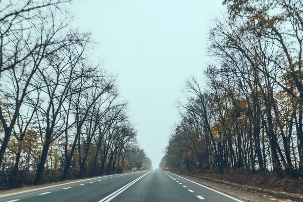 Φθινοπωρινό ταξίδι με αυτοκίνητο concept δέντρα με κίτρινα φύλλα — Φωτογραφία Αρχείου