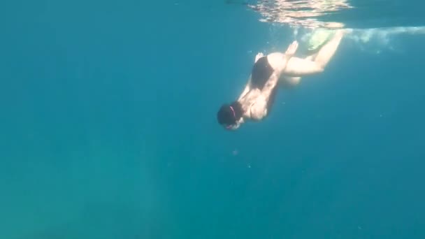 Mujer nadando con máscara bajo el agua en busca de conchas marinas — Vídeo de stock