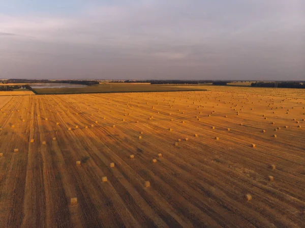 Luftaufnahme Sonnenuntergang Feld Ernte Herbst Zeit — Stockfoto