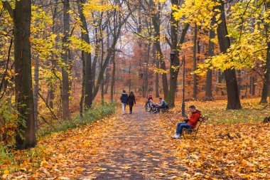 Lviv, Ukrayna - 4 Kasım 2018: Sonbahar parkında insan faaliyetleri