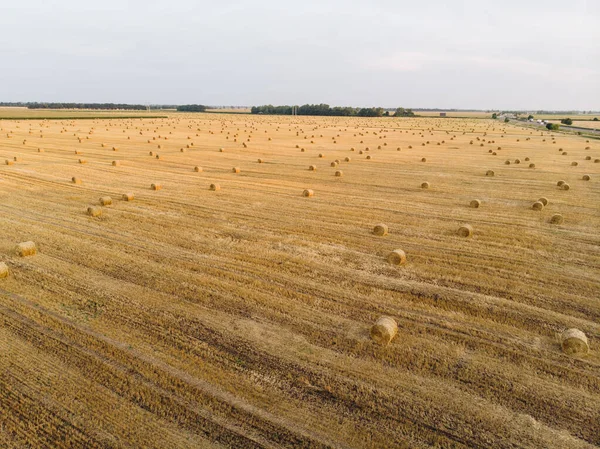 Vista aerea campo tramonto raccolta autunno tempo — Foto Stock