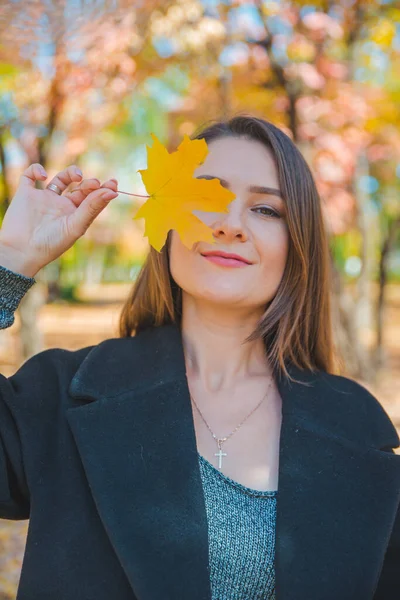 Молода красива жінка обманює жовтим кленовим листом — стокове фото