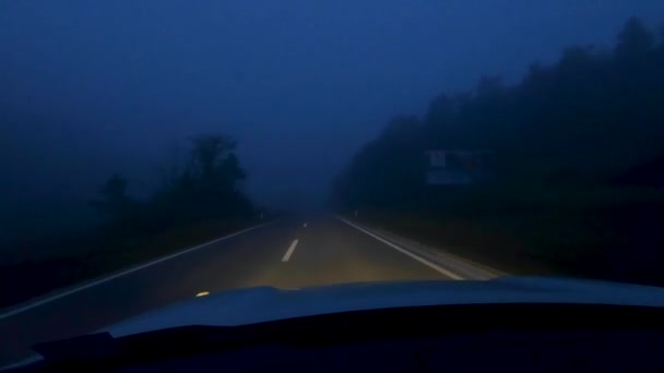 霧道旅行で夜間の高速道路での車の運転 — ストック動画