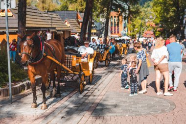Zakopane, Polonya - 13 Eylül 2019: İnsanlar ana caddeden geçerek atlara bakıyor