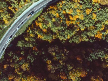 Ormandaki sonbahar otoyolunun havadan görünüşü