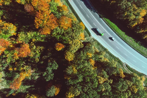 Widok z lotu ptaka jesiennej autostrady w lesie — Zdjęcie stockowe