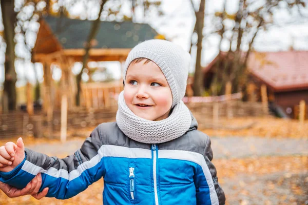 Retrato de 5 anos menino em roupa de outono — Fotografia de Stock