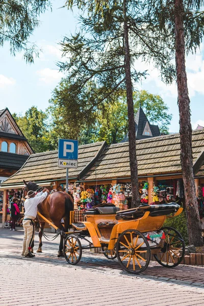 Zakopane, Polonia - 13 settembre 2019: cavallo con carro che mangia fieno attrazione nella città di montagna — Foto Stock