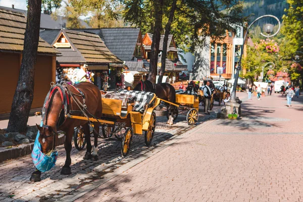 Zakopane, Polonia - 13 settembre 2019: persone che camminano per strada guardando i cavalli — Foto Stock