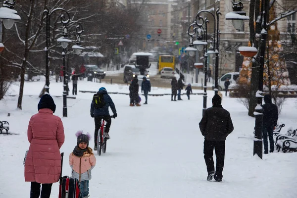 Lviv, Ucrania - 6 de enero de 2019: vista del parque de la ciudad de invierno nevado — Foto de Stock