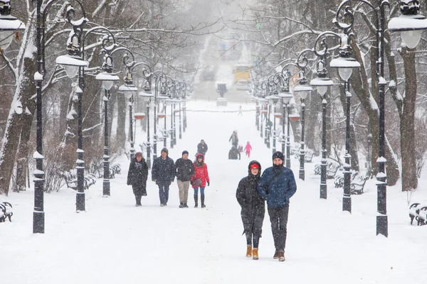 Lviv, Ucrania - 6 de enero de 2019: vista del parque de la ciudad de invierno nevado — Foto de Stock