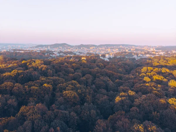 Vista aérea del parque de la ciudad de otoño al atardecer —  Fotos de Stock