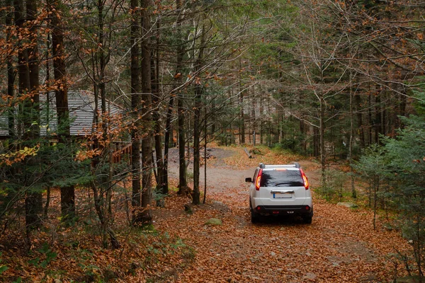 Coche suv blanco en el bosque de otoño gazebo barbacoa lugar — Foto de Stock