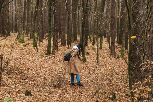 Mulher em roupa de outono andando pela floresta — Fotografia de Stock