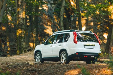 Yaz ormanında beyaz arazi aracı. off road kavramı