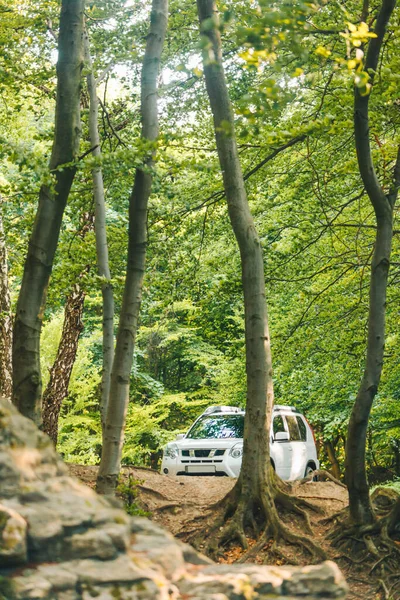 Λευκό Suv Αυτοκίνητο Στο Δάσος Του Καλοκαιριού Έννοια Road — Φωτογραφία Αρχείου