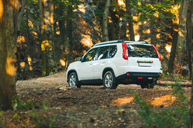 Yaz ormanında beyaz arazi aracı. off road kavramı