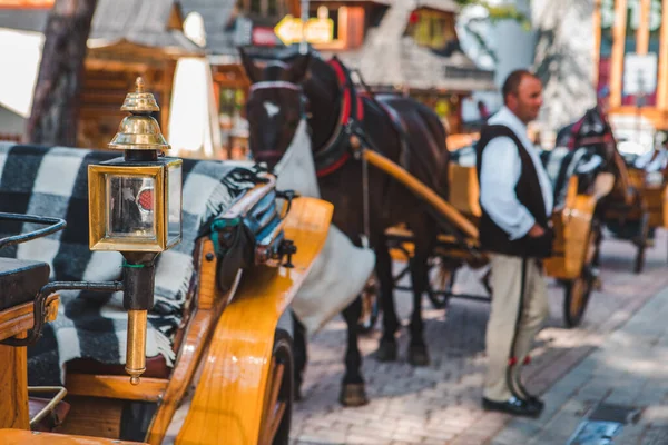 Entrenador Caballos Cerca Calle Turística Ciudad Sin Gente — Foto de Stock