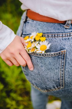 Kadın arka cebinde papatya çayı. Boşluğu kopyala