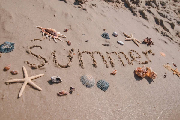 Letni Tekst Piaskowej Plaży Muszle Rozgwiazdy Wokół Koszty Ogólne — Zdjęcie stockowe