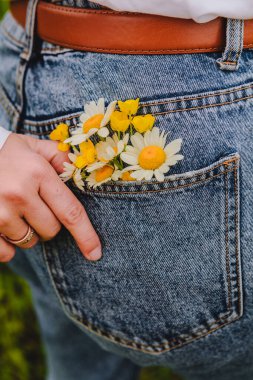 Kadın arka cebinde papatya çayı. Boşluğu kopyala