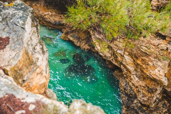 Deniz koyunun uçurumundan yeşil mavi berrak su manzarası — Stok fotoğraf