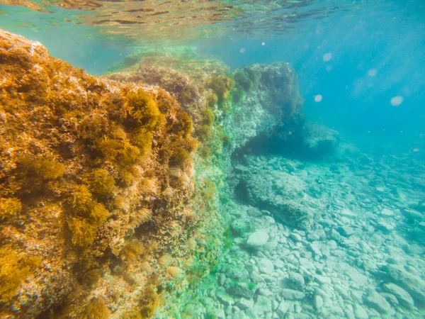 Подводное Дно Видом Море — стоковое фото