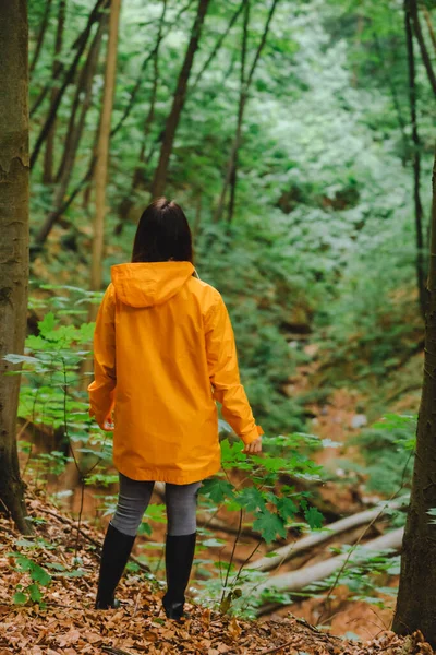 Mulher Capa Amarela Andando Pela Floresta Chuvosa Visão Traseira Espaço — Fotografia de Stock