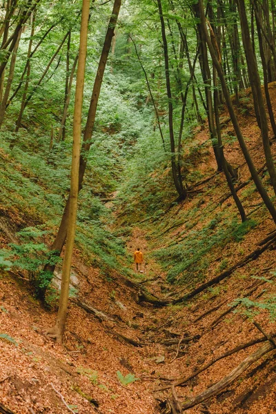 Człowiek Żółtym Płaszczu Wędrujący Przez Las Przestrzeń Kopiowania — Zdjęcie stockowe