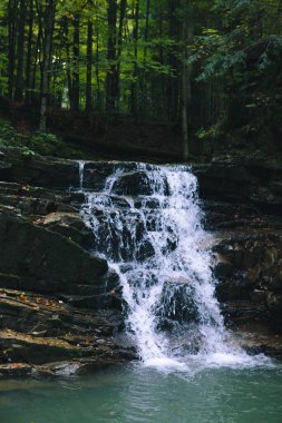 Ormandaki şelale manzarası güzel doğa