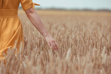 Buğday tarlasında kadın eli kapalı. Boşluğu kopyala