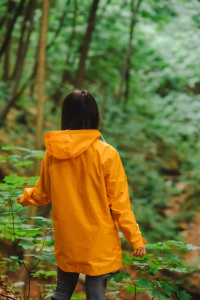 Femme Imperméable Jaune Marchant Dans Forêt Pluvieuse Vue Arrière Espace — Photo