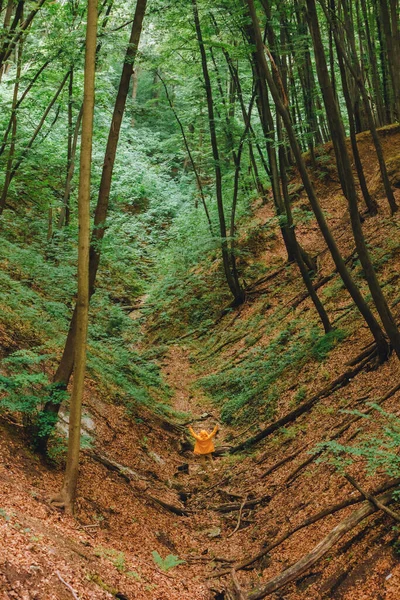 Homem Capa Chuva Amarela Caminhando Pela Floresta Espaço Cópia — Fotografia de Stock