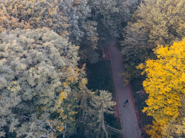 Vue Aérienne Espace Copie Parc Municipal Automne — Photo