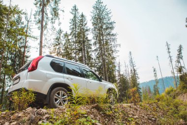 off road araba seyahati dağların zirvesinde sonbahar sezonu