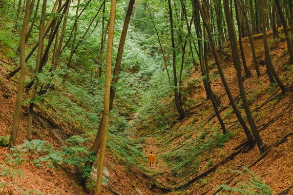 Man Yellow Raincoat Hiking Forest Copy Space — Stock Photo, Image