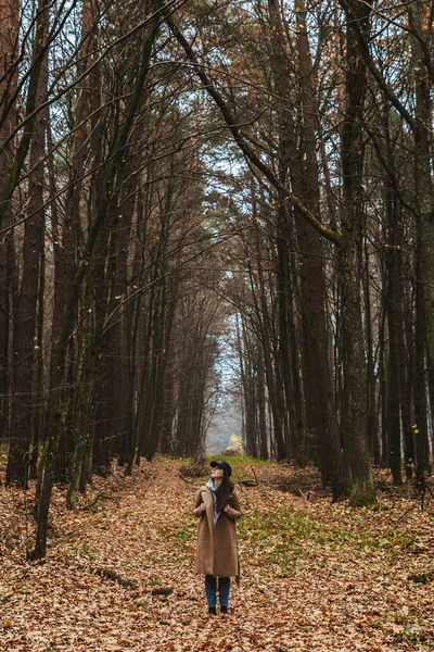 Tânără Destul Femeie Costum Toamnă Mers Jos Pădure — Fotografie, imagine de stoc