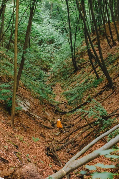 Człowiek Żółtym Płaszczu Wędrujący Przez Las Przestrzeń Kopiowania — Zdjęcie stockowe
