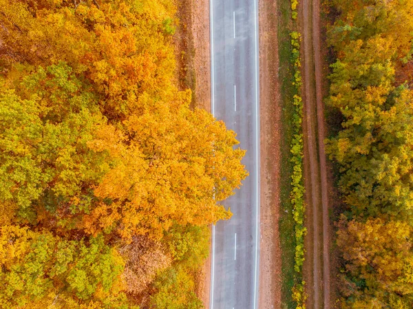 Εναέρια Άποψη Του Φθινοπώρου Αυτοκινητόδρομο Στο Δάσος Αντίγραφο Χώρου — Φωτογραφία Αρχείου