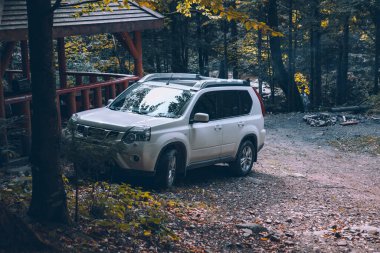 Güz Ormanı 'nda beyaz SUV arabası. Terasta fotokopi alanı yakınında.
